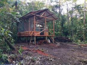 Cabaña Leucopternis - in the middle of Amazon forest